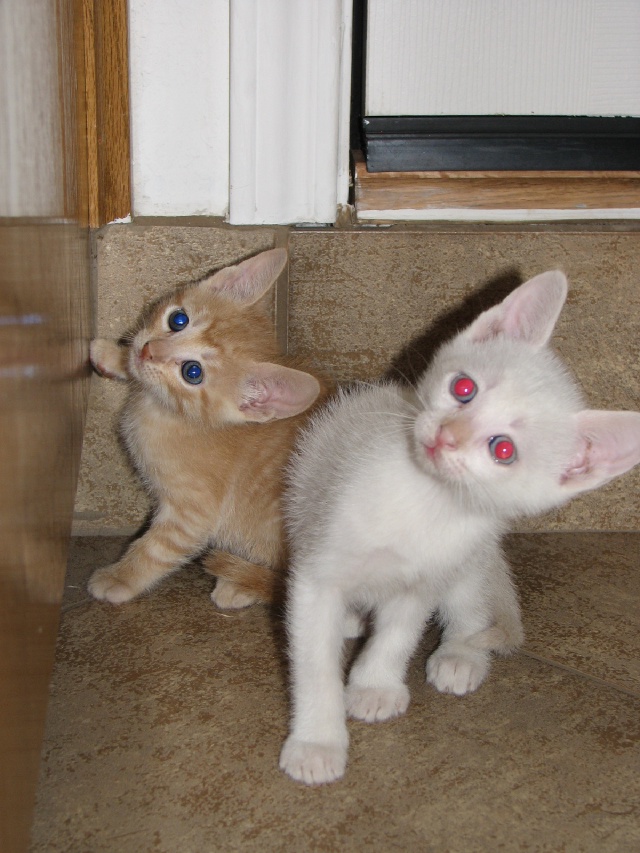 20100206 438.JPG